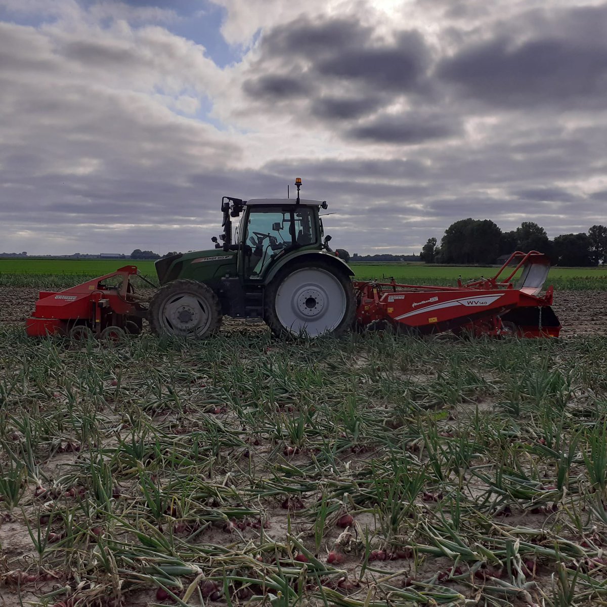 GRIMMEGroup's tweet photo. #RowShow2021
Our WV are also in action for our demonstration tour this year. Here are some impessions from our WV 140 with ASA-LIFT OT in the Netherlands. π§
π³π±
#GRIMME #WV #onions https://t.co/pQSYTVIJ5z