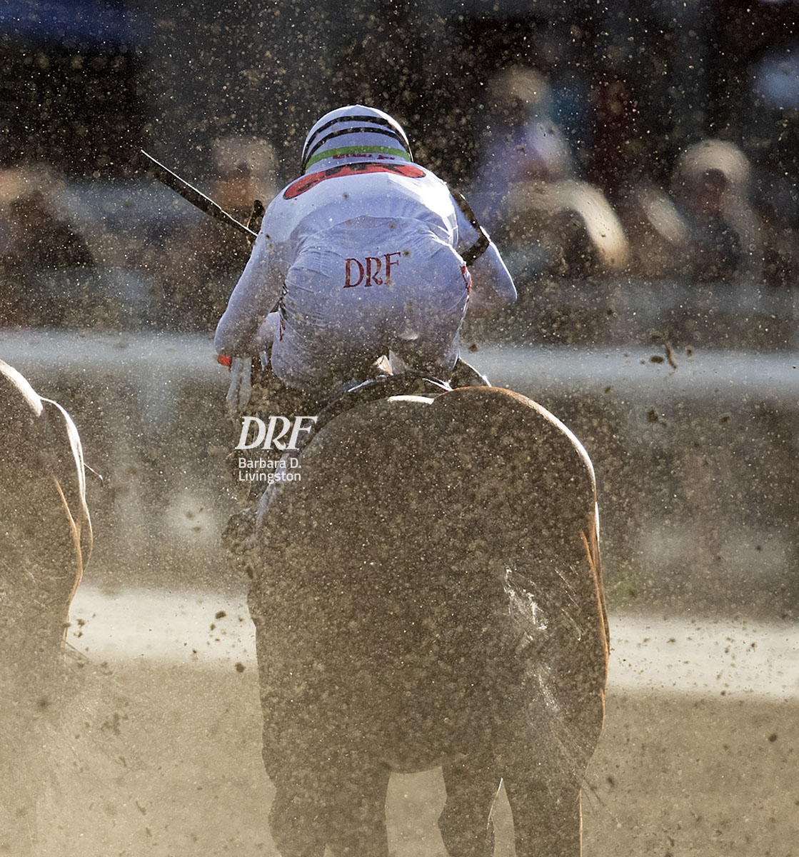 Daily Racing Form tweet media