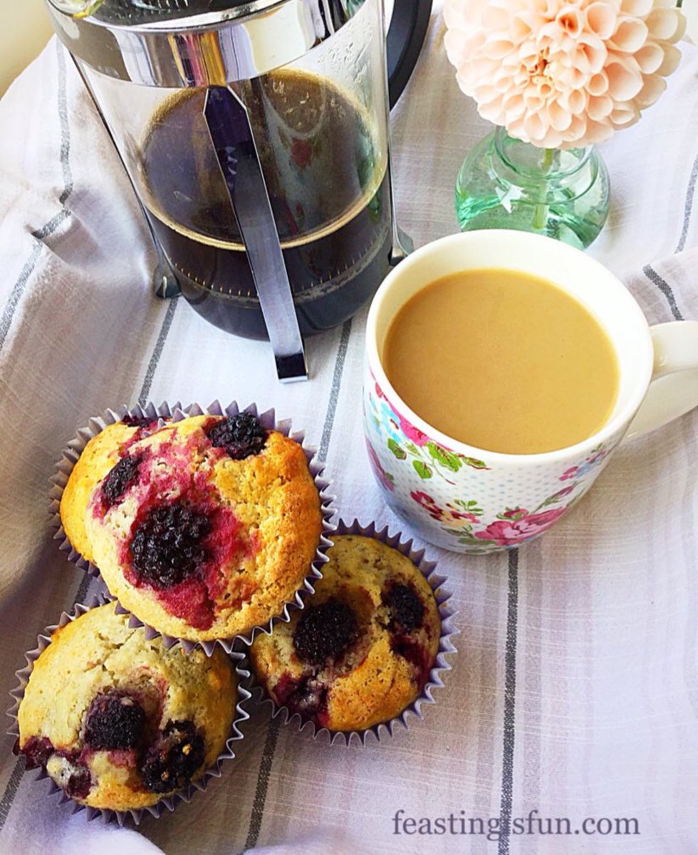 sammiefeasting's tweet photo. 💜 Easy Blackberry Oat Muffin Recipe 💜 if you’ve been foraging for blackberries, these muffins are a great way to use them especially for a yummy breakfast or afternoon snack 😉
Recipe - https://t.co/fQvxZB6JKR
#recipe #Autumn #Food #baking https://t.co/558praGBUQ
