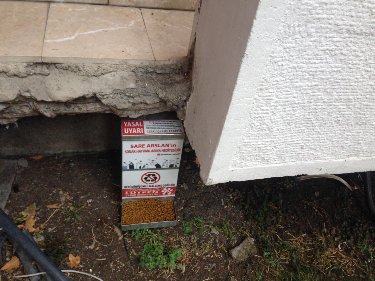 Bugünün beslemeleri tamam! ormanamama.com/kampus-patileri linkinden mama bağışı yaparak beslememize yardım etmek ister misiniz?