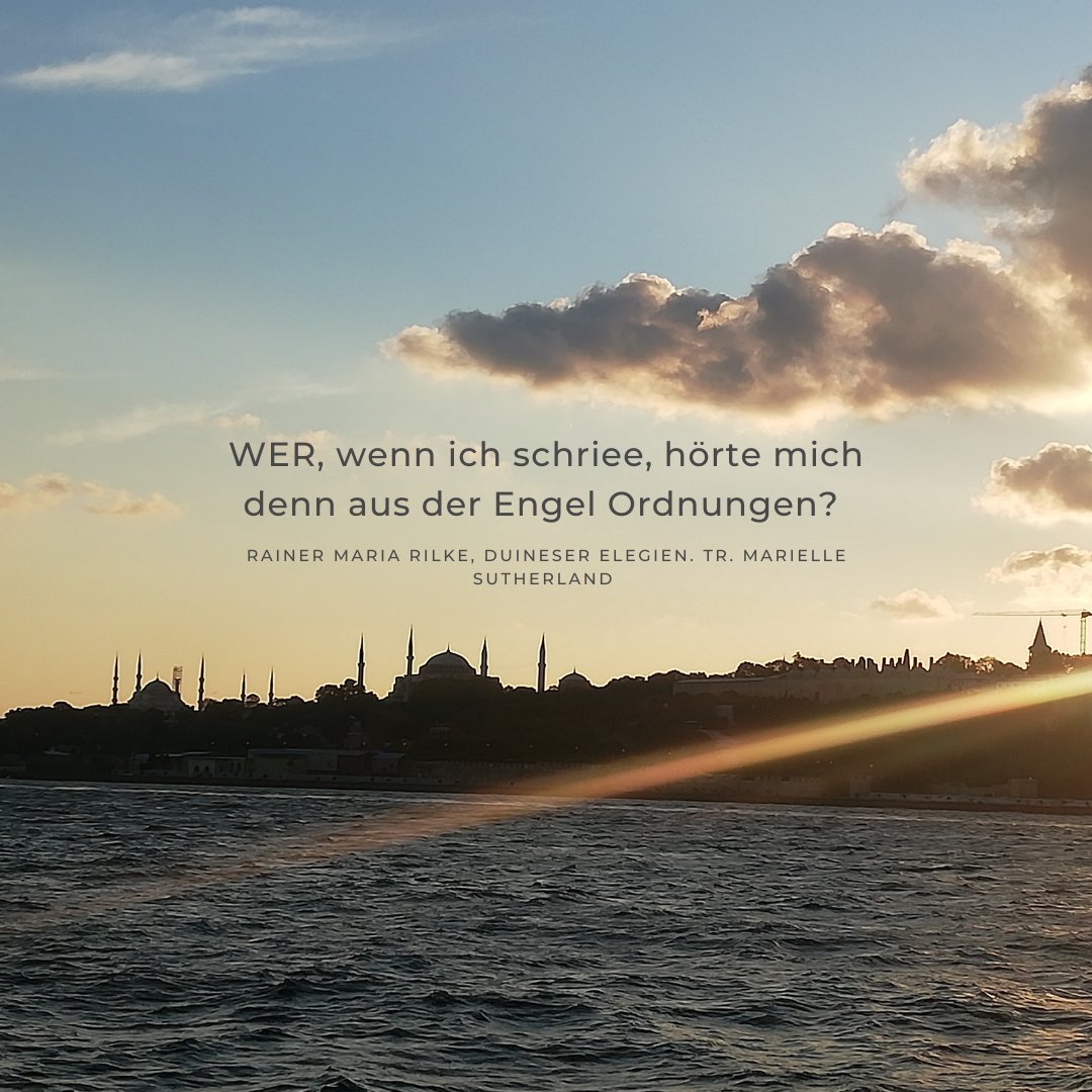 rmr_association's tweet photo. "WHO, if I cried out, would hear me among the orders of Angels?" Rainer Maria Rilke, The Duino Elegies. Tr. Marielle Sutherland #rainermariarilkequotes #littérature #writing #books #poète https://t.co/sM3HsWSu8y