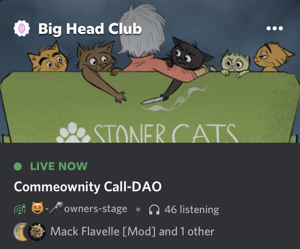 stonercatstv's tweet image. Happening now in the SC TOKEn holders discord stage 🤝 @financedotvote and @bigheadclub_  #DAOtalks