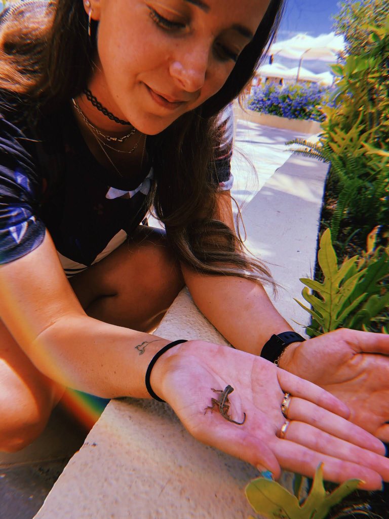 Elena Swan tweet media