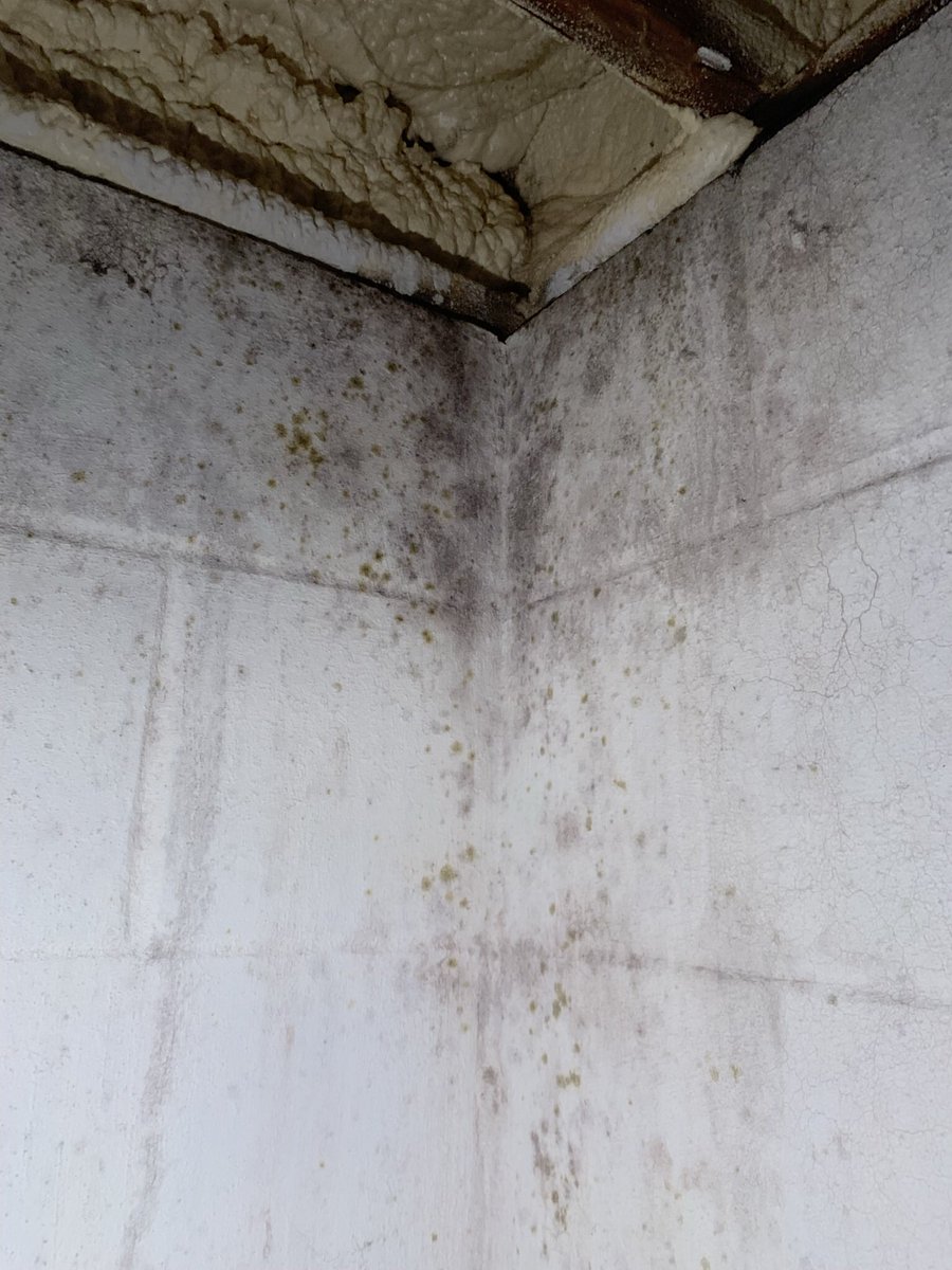 servpro10340's tweet photo. Are you finding mold in your home after the large storm system that passed through a few weeks ago? Give us a call to schedule an estimate! 605-213-3303 https://t.co/UnZDgYs7SD