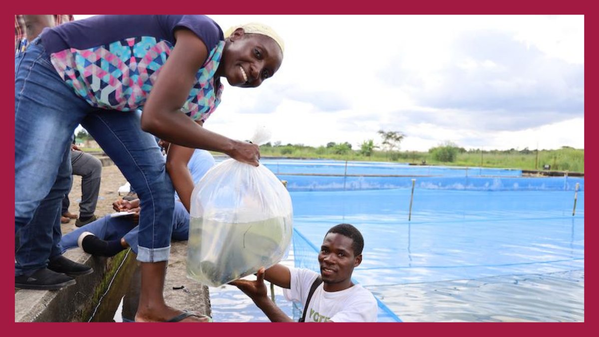 UN Food Systems Coordination Hub (@foodsystems) on Twitter photo #Youth employment fell by almost 9% in 2020 – but aquatic #FoodSystems hold great potential for decent work opportunities 🎣
Read <a href="/trinidad1949/">Shakuntala Haraksingh Thilsted</a> & @Indika_IA on unlocking possibilities for young people in aquatic food systems.
▶️ bit.ly/2Xf9bo5
#FoodSystems4SDGs #SDG8 #Youth employment fell by almost 9% in 2020 – but aquatic #FoodSystems hold great potential for decent work opportunities 🎣
Read <a href="/trinidad1949/">Shakuntala Haraksingh Thilsted</a> & @Indika_IA on unlocking possibilities for young people in aquatic food systems.
▶️ bit.ly/2Xf9bo5
#FoodSystems4SDGs #SDG8