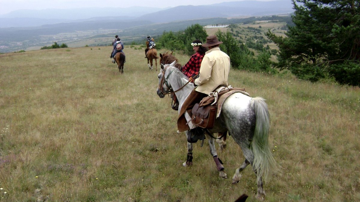 You've already taken some lessons and you are yearning for more! Why not join an #intermediate horseriding holiday then? bit.ly/3kkXrrD
You'll discover new destinations, make new friends, and take your love for riding a step further.