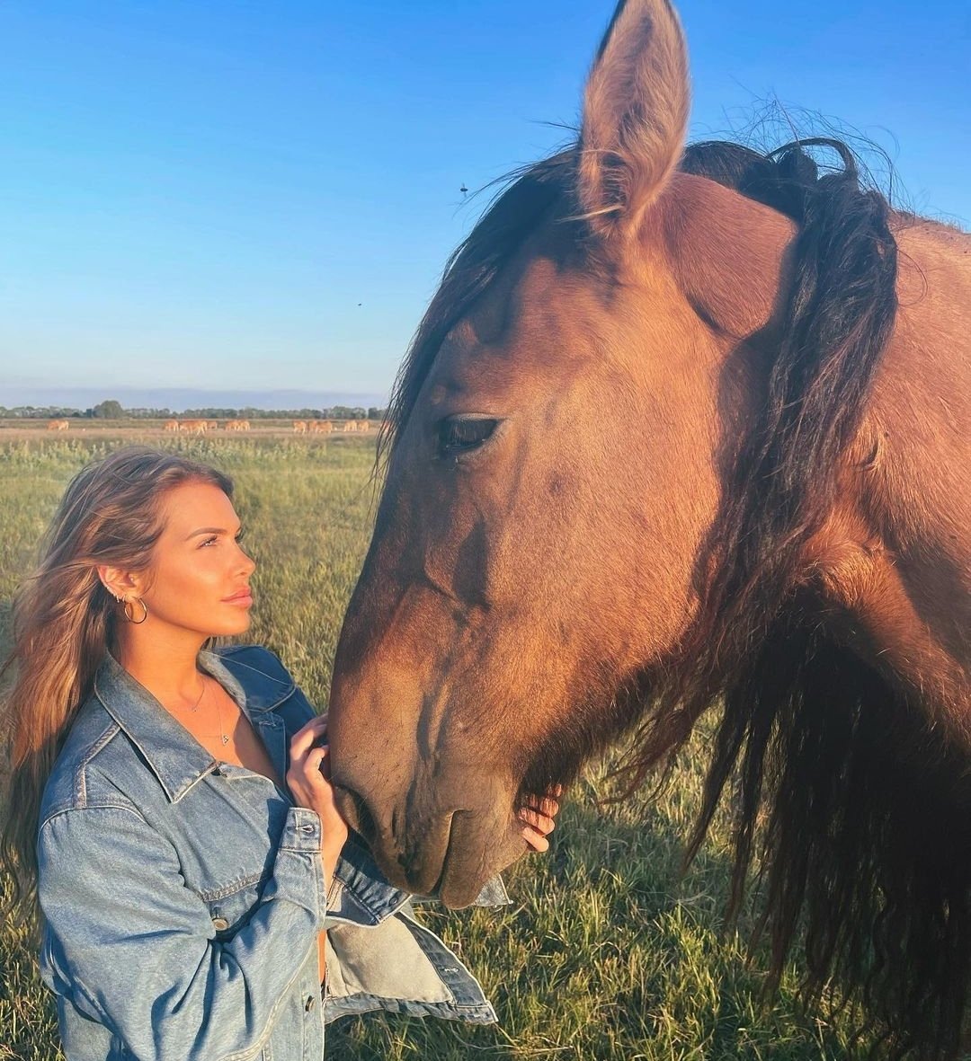 TvReal-Anim&celeb tweet media