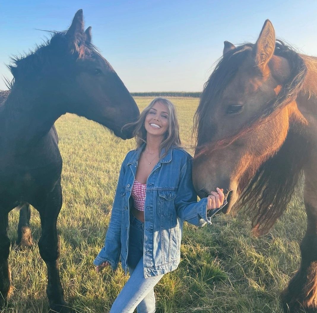 TvReal-Anim&celeb tweet media