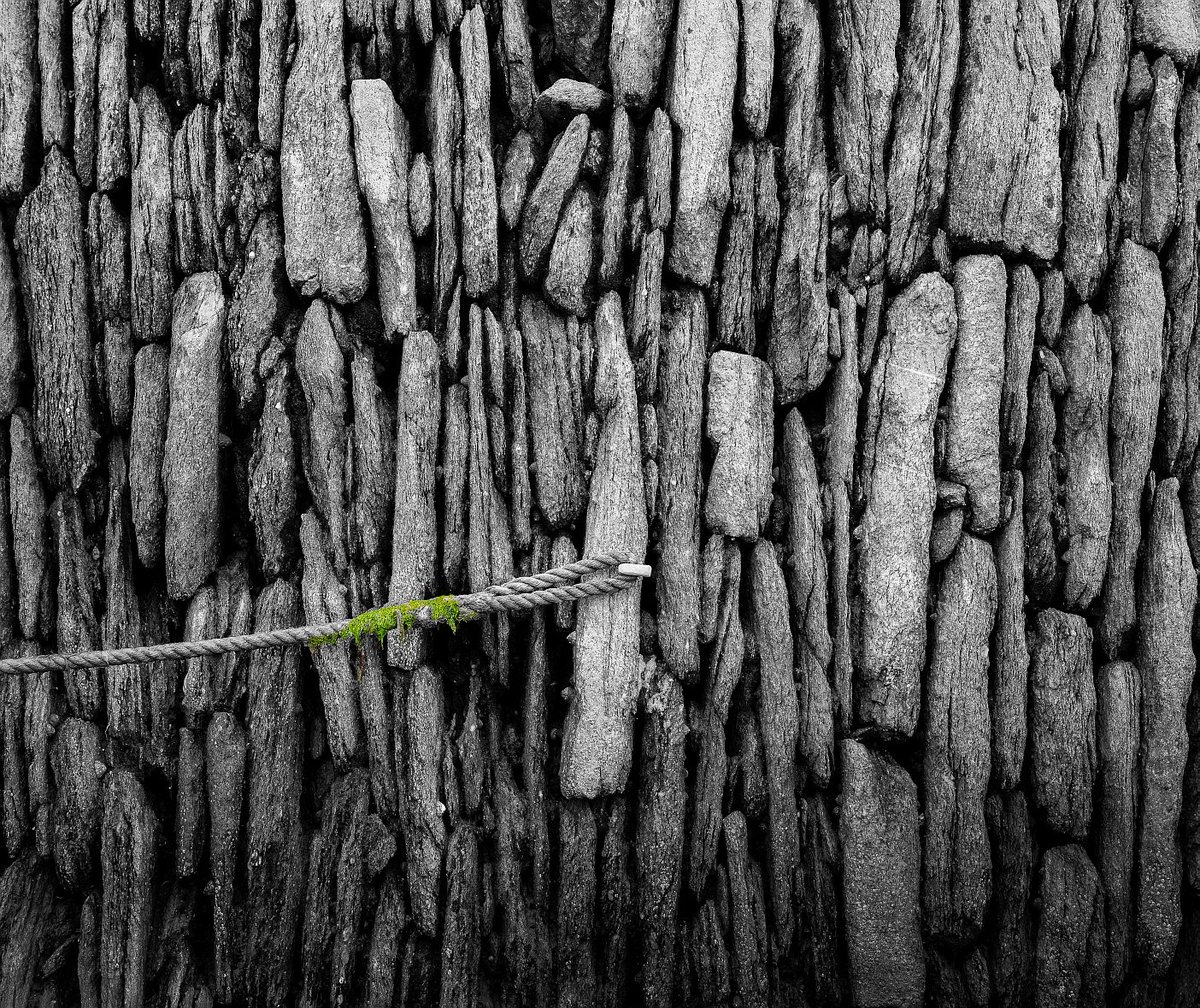 CAPhotographie's tweet photo. Algue Verte

#photography #PhotoOfTheDay #bnwphotography #blackandwhitephotography #blackandwhite #bnw_captures https://t.co/2X9hxBlhwv