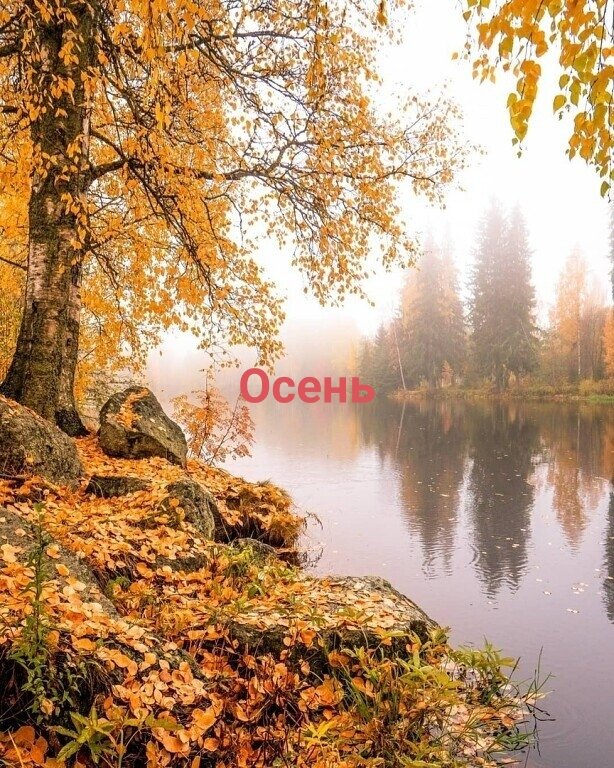 антон богратион (@bogration1) on Twitter photo 