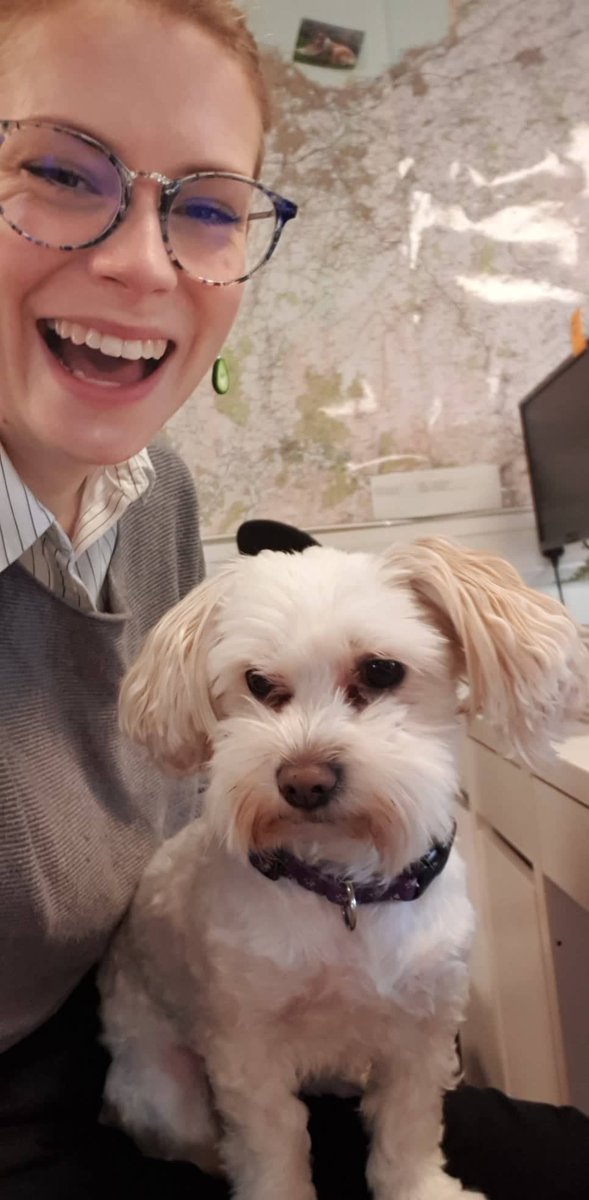 EDCHCommunity's tweet image. Hive minds - can you help these wee faces oot? 👇🙏 Are you or do you know any #streamers or #gamers that may be interested in doing a small charity stream for the Home next month? 

I have an idea💡 DM me for more info. TIA