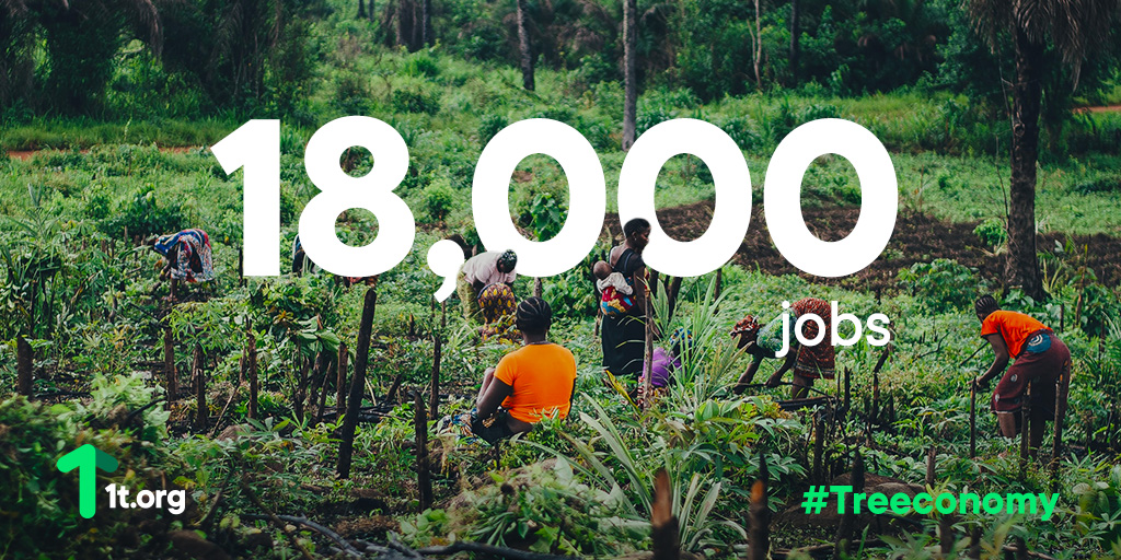1t_org's tweet photo. Planting trees can pay the bills. #Treeconomy
In Costa Rica, entire communities have benefited from the nation's #reforestation efforts. Over 18,000 jobs have been created as the country doubled its forest cover. Find out more with @wef: https://t.co/n9m3M9tmAA https://t.co/7C3me5ZfhS