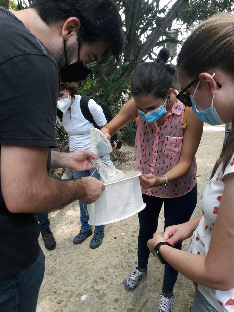 mosquito_web's tweet photo. Decorreu na semana passada o curso “Coleções de insectos e entomologia médica e forense”, no Instituto de Higiene e Medicina Tropical. onde tivemos um conjunto muito simpático e interessado de participantes. https://t.co/hOsmWNxZIB https://t.co/mWCt01sVGM