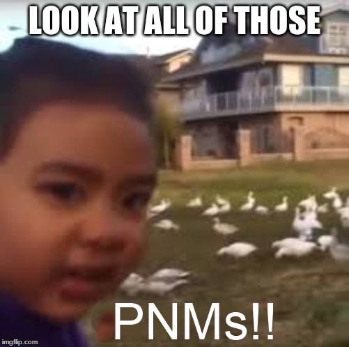 Happy Wednesday, everyone! In honor of recruitment only being 2 DAYS away, here are a few recruitment memes 🥰 #GrowWithPanhellenic 🌿 Have an AMAZING rest of your week!