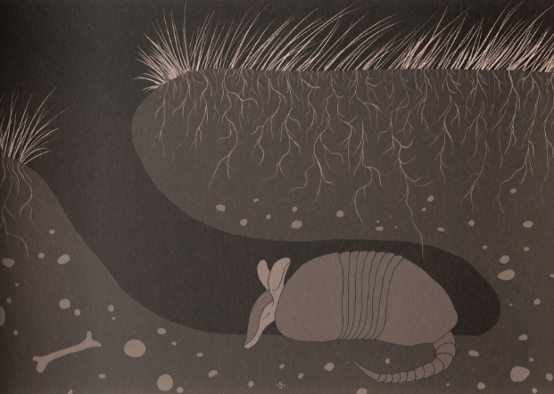 EfectoMariposaR's tweet photo. #HOY “Siestita de armadillo”, una de las canciones que integran el proyecto ¿Cómo duermen los animales del Uruguay?, libro-disco ilustrado con poemas, dibujos y canciones sobre los hábitos de sueño de nuestra fauna autóctona. Se presenta en el Festival #Rodamundo, el 23 y 24/09🧵 https://t.co/U6i9j3xeHM