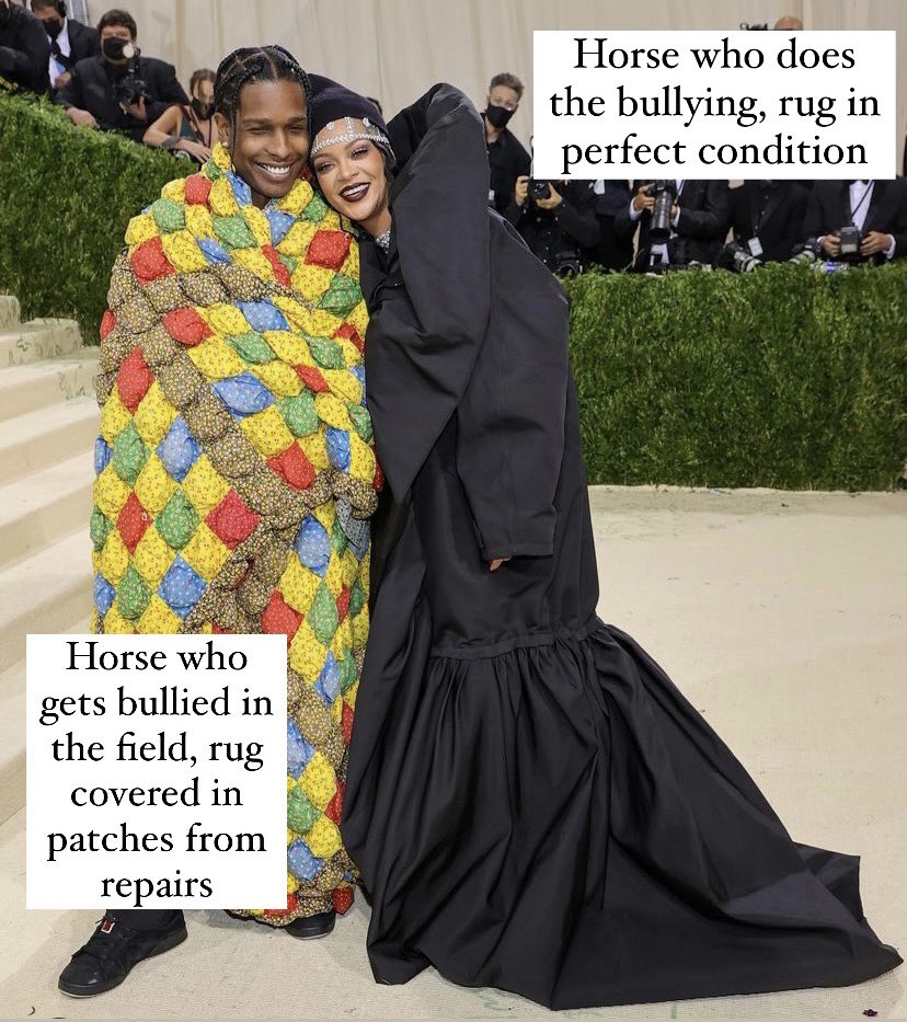 There are two types of horses