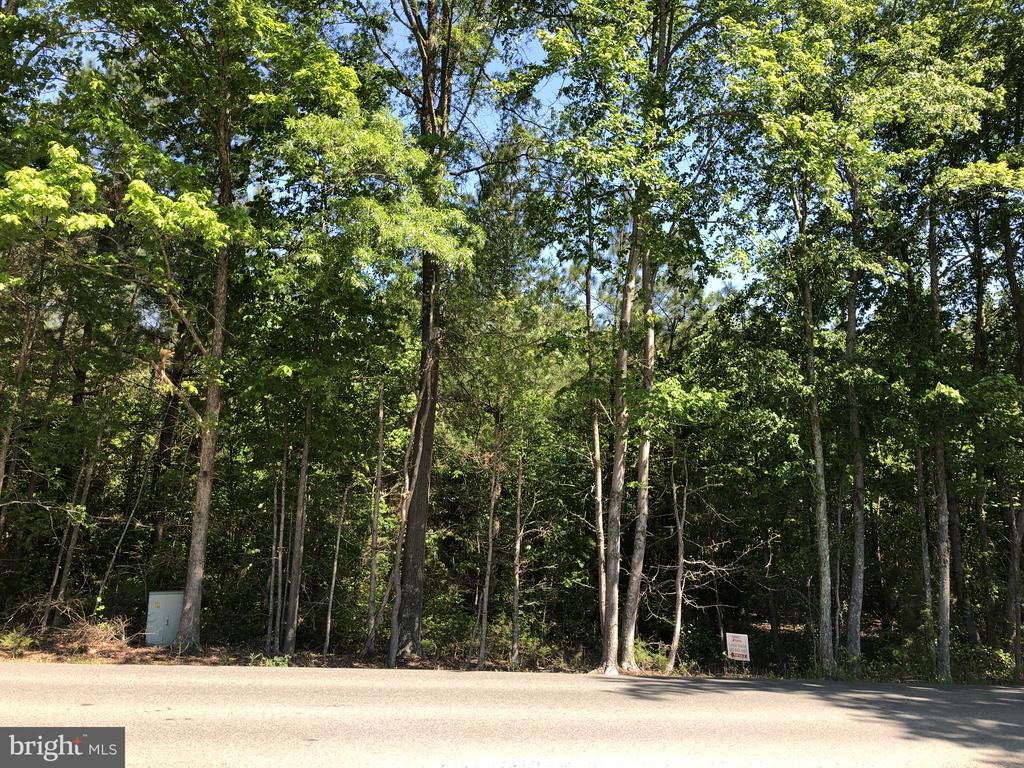 ewaller764's tweet photo. I am looking for a buyer for Bumpass Rd #Bumpass #VA  #realestate https://t.co/tqIcAinZUv https://t.co/AaNUkQjt45