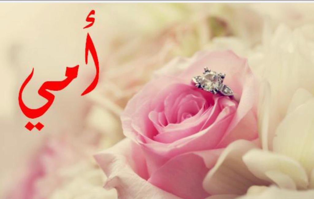 ❤༺RADiA༻❤ tweet media