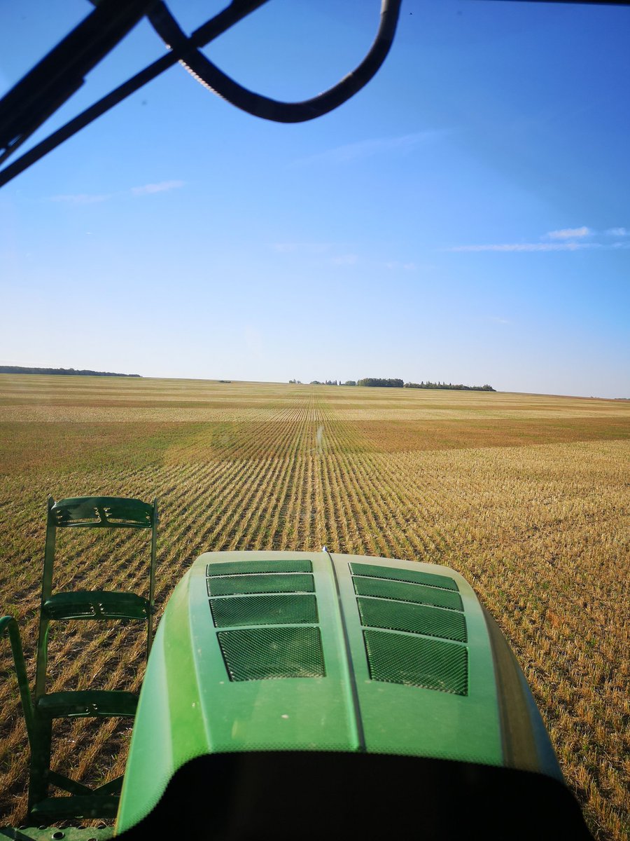 View from my office window