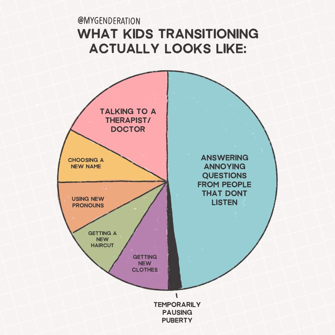 ID: Graphic pie chart for #mygenderation by @mrleomateusart titled WHAT KIDS TRANSITIONING ACTUALLY LOOKS LIKE: The chart is divided into 7 segments.  The largest section represents 'ANSWERING ANNOYING QUESTIONS FROM PEOPLE THAT DON'T LISTEN'. The second largest segment represents 'TALKING TO A THERAPIST/DOCTOR'.  The next four segments are of equal size and each labeled with the following 'CHOOSING A NAME', 'USING NEW PRONOUNS', 'GETTING A NEW HAIRCUT', 'GETTING NEW CLOTHES' then the final and smallest segment represents 'TEMPORARILY PAUSING PUBERTY'