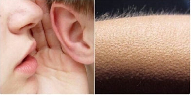 (d) / glitched tweet media