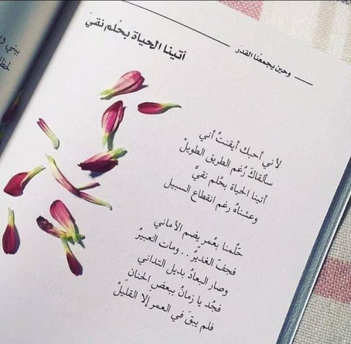 lgxPAf8sas3SGgg's tweet image. 