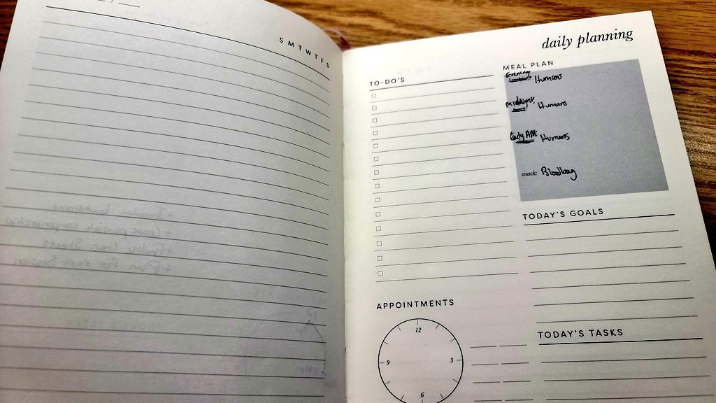 Proper timeline and journal entry preparedness for #vtm. Oh and mealprepping is incredibly important for the #Kindred.