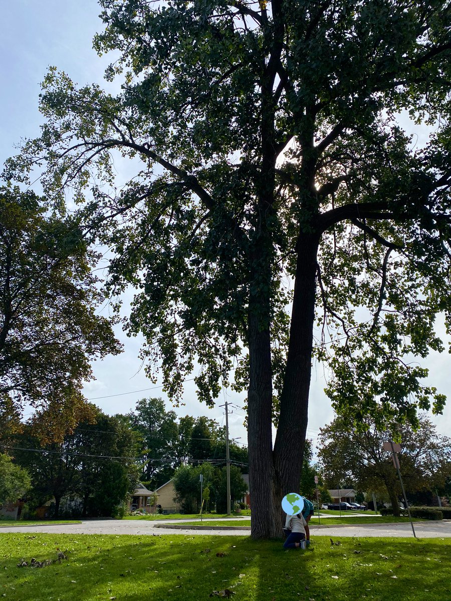 We launched our Biodversity learning outside today! Our first step was to make a Nature Contract so that we can be respectful of our outdoor space. <a href="/louisearbourfi/">Louise Arbour FI</a> #outdoorlearning