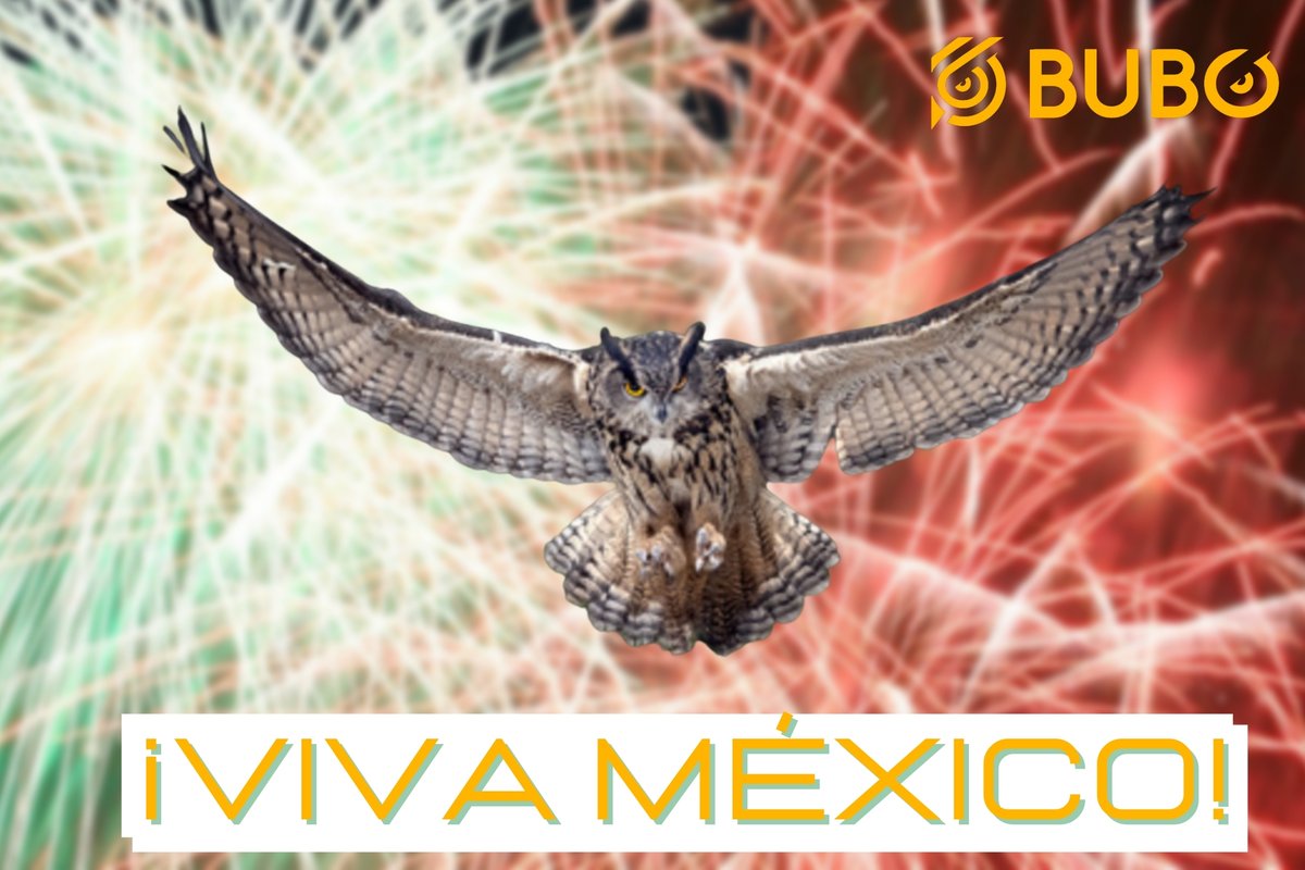 buboprotocol's tweet photo. From Mexico to the world ... #Bubo is coming ... Very soon! https://t.co/VGA4Pt2hOJ