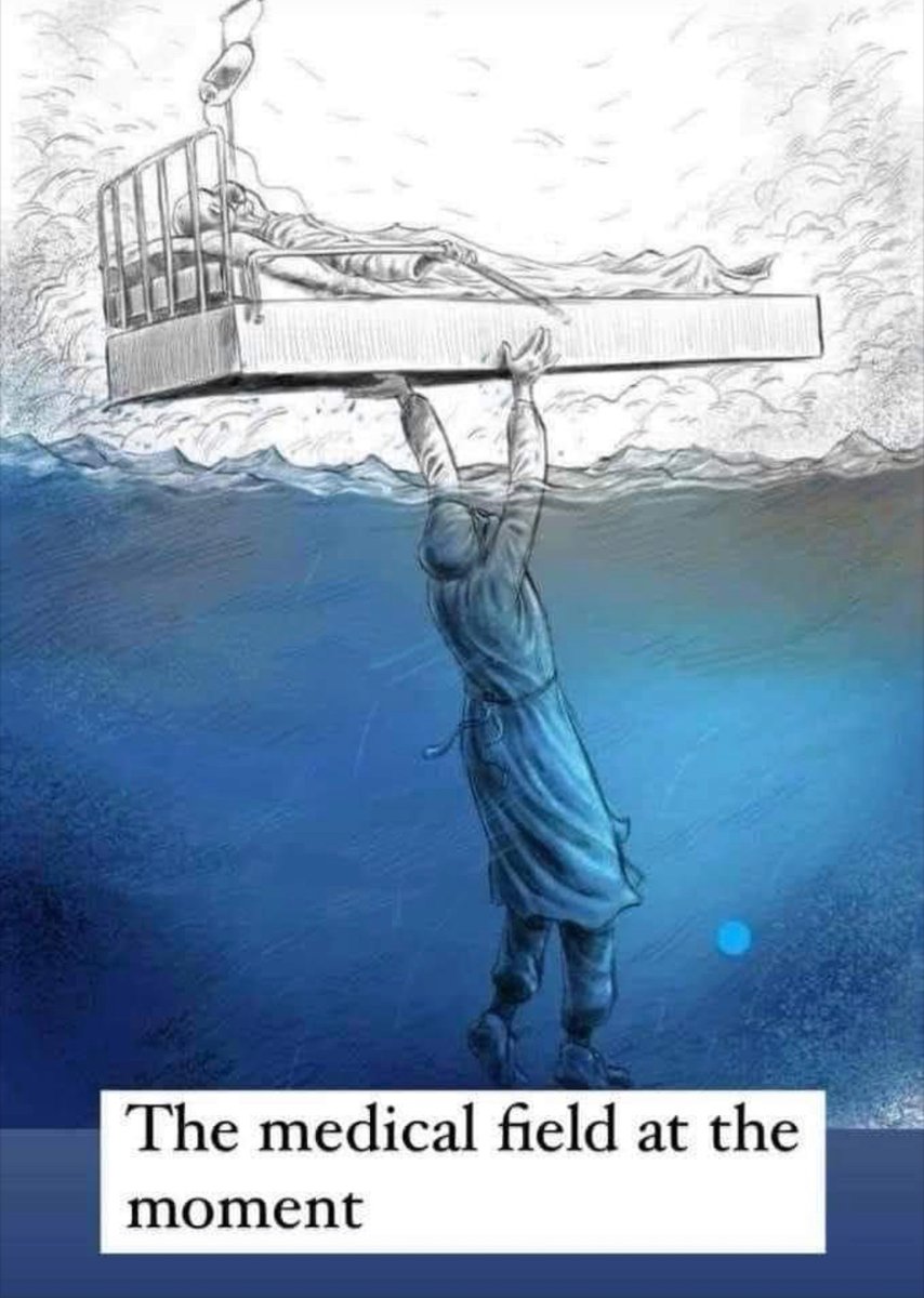 optimist264's tweet image. 