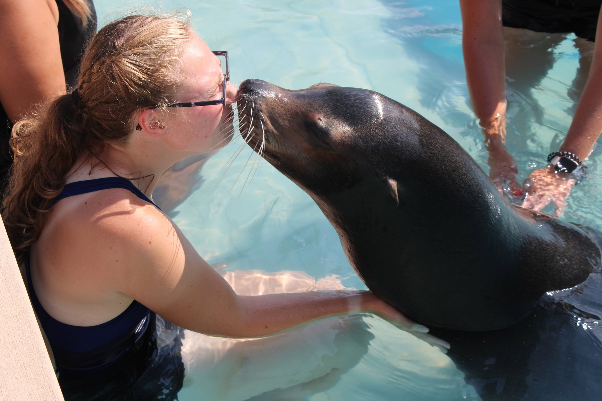 UVM Alumni on Twitter: "UVM Student Alumni Association VP Avery Holmes