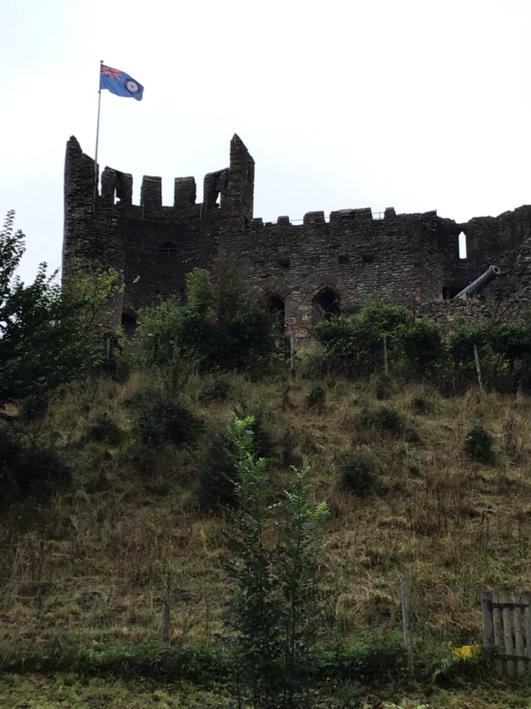 MissHoulston tweet media