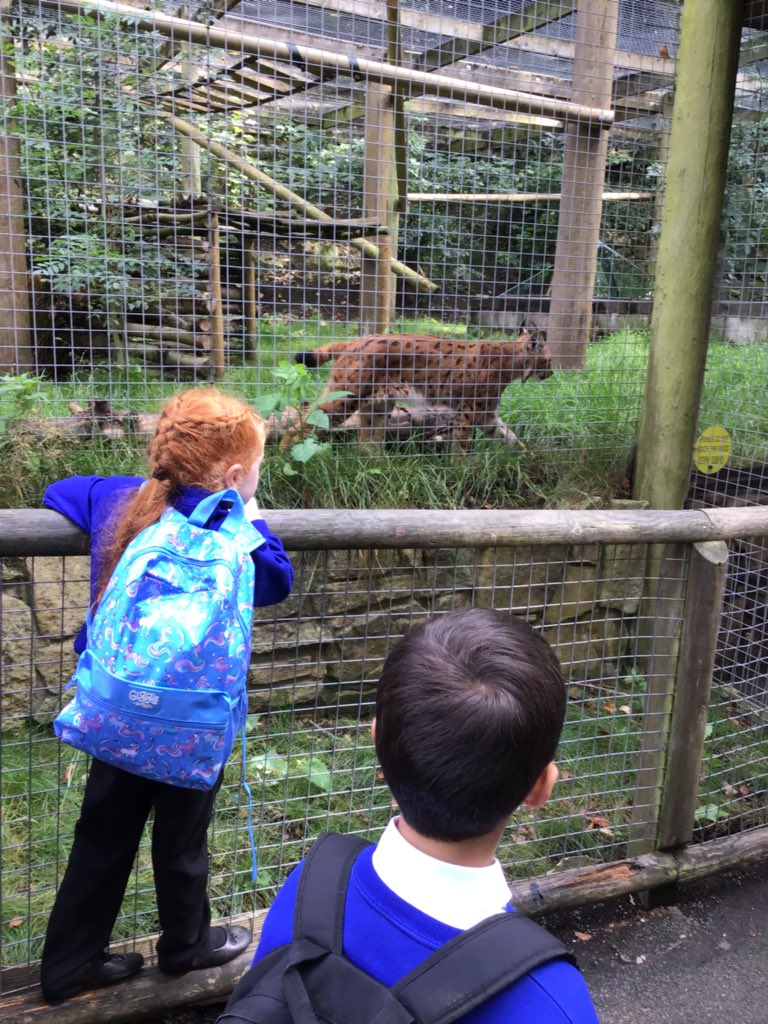 MissHoulston tweet media