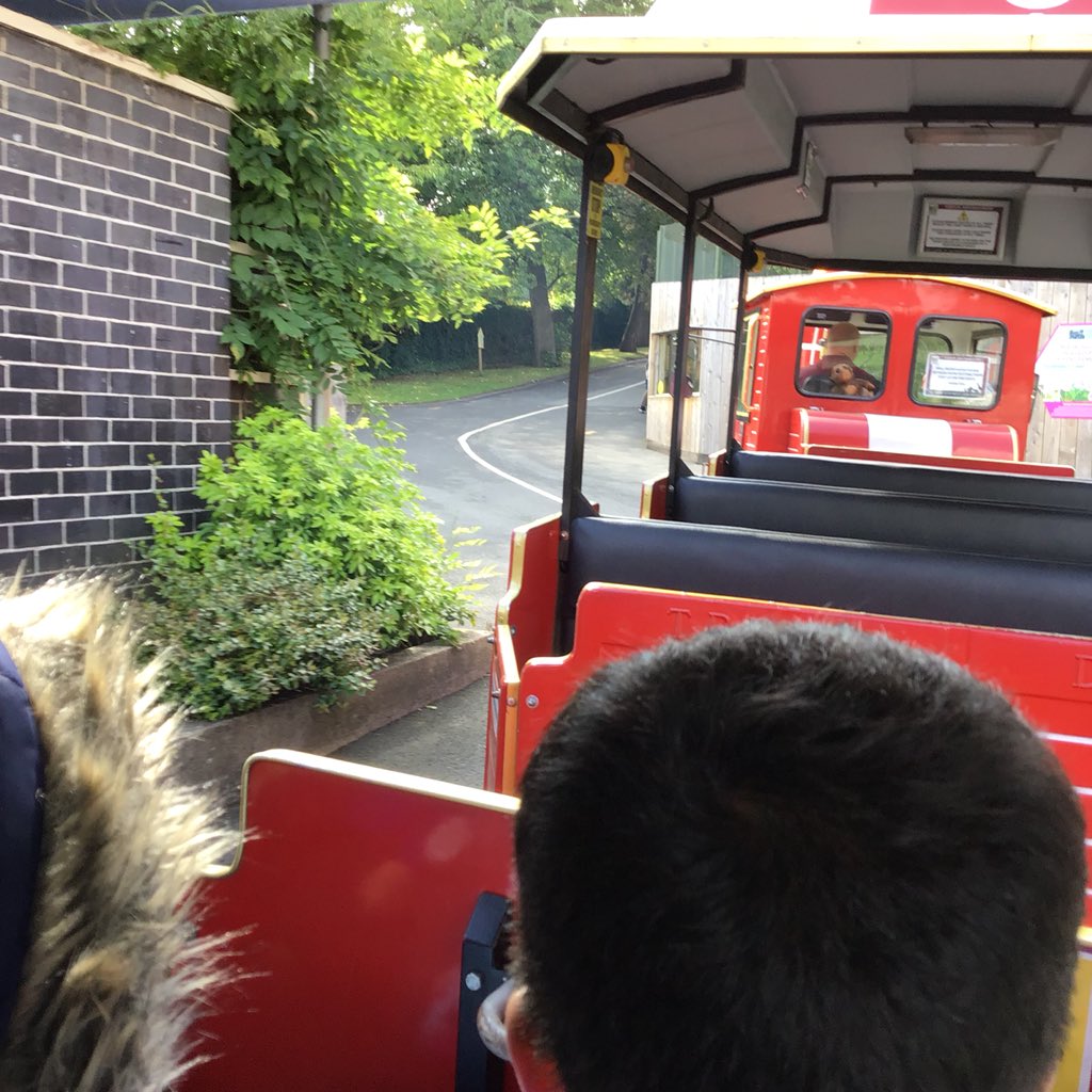 MissHoulston tweet media