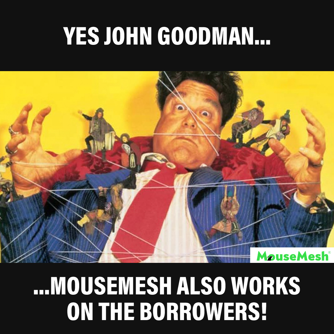 MouseMesh tweet media