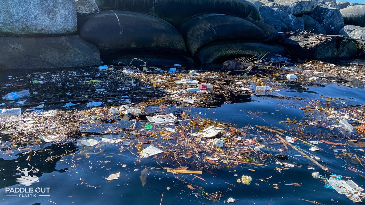 PadleOutPlastic's tweet photo. Congrats @GavinNewsom! You had us at "It's too damn dirty!" Please sign bills to slow the flow of #plasticpollution for a #CircularEconomy #AB1276 #SB343 #RecallFail https://t.co/zKa9t4nObd