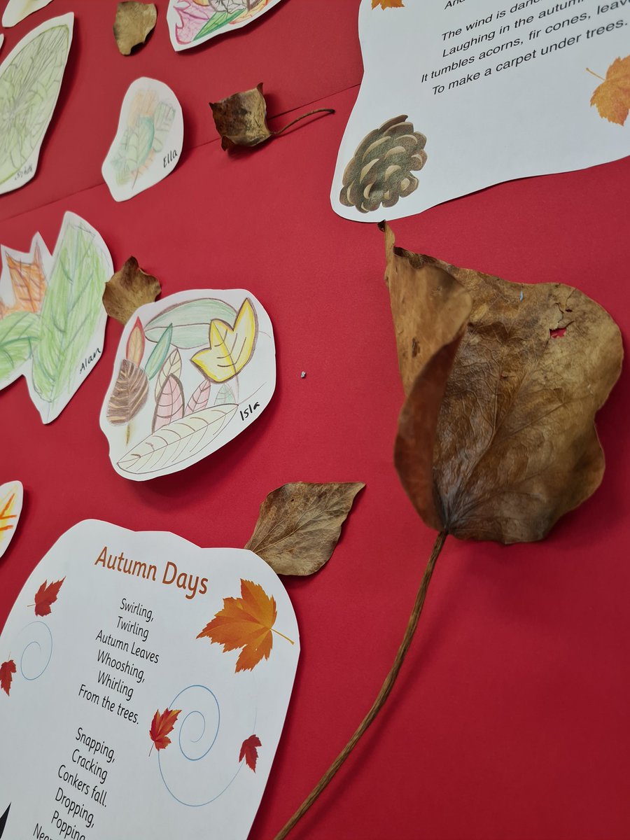 This week's art lesson focused on adding detail using colour and shading as we drew a pile of autumn leaves <a href="/SkeneSquare/">Skene Square School</a>