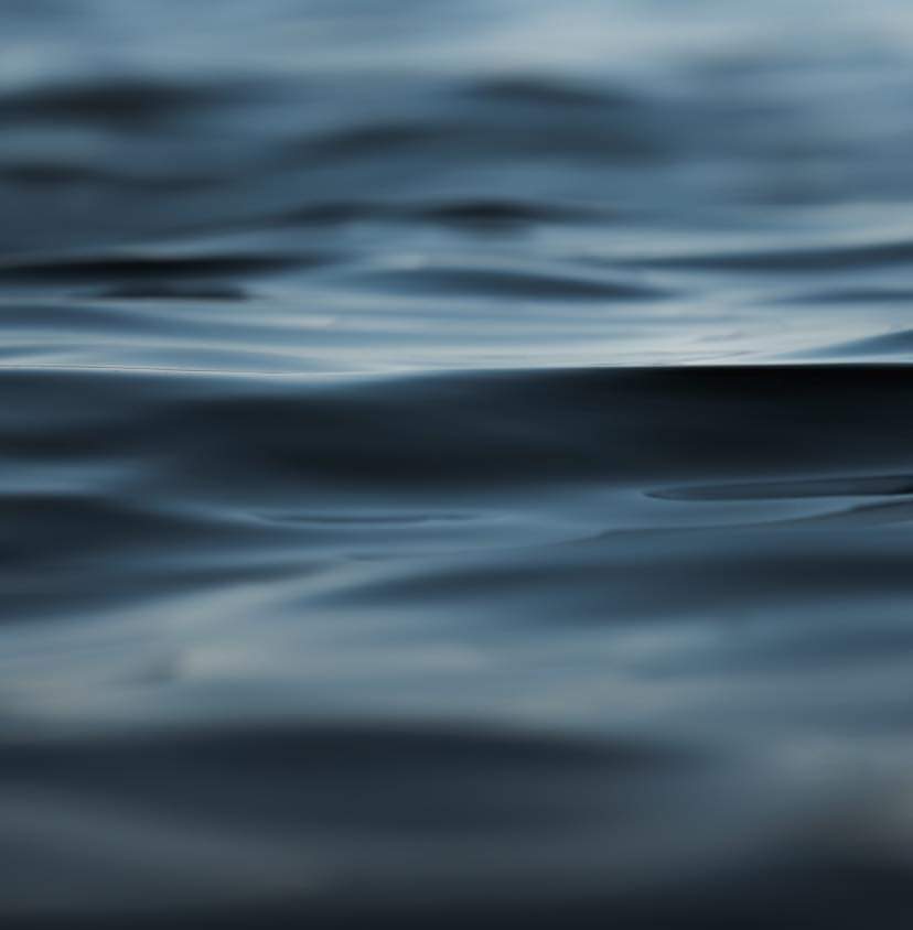 I felt like 
we were in 
a sea of pain 
and grief—

that no matter 
how we tried 
to reach the shore…

—this force 
below us kept 
pulling us!