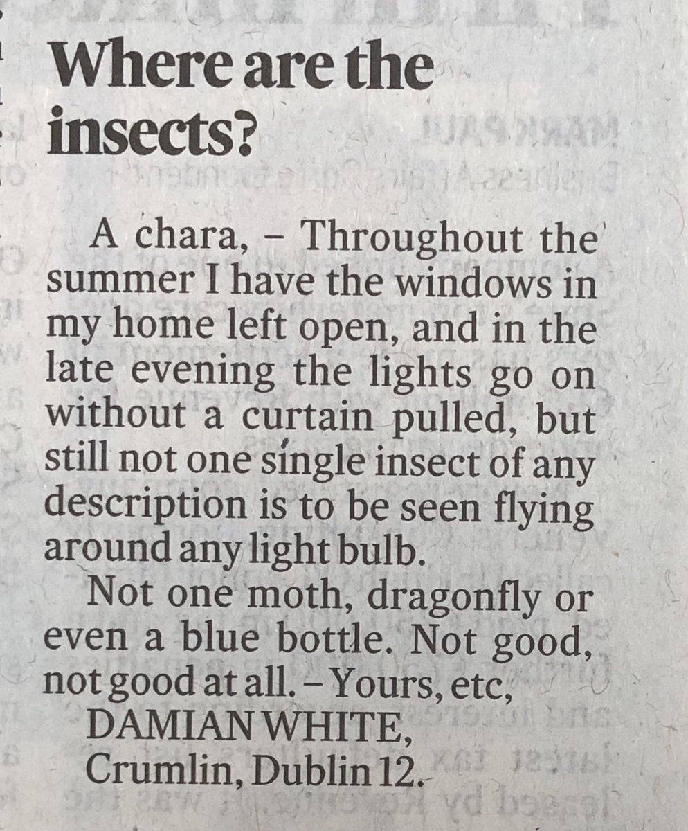 think_or_swim's tweet photo. It’s only a few centimetres long, but this is by some distance the most important piece in any of our papers today. 

#InsectApocalypse https://t.co/vLijzp6K8O