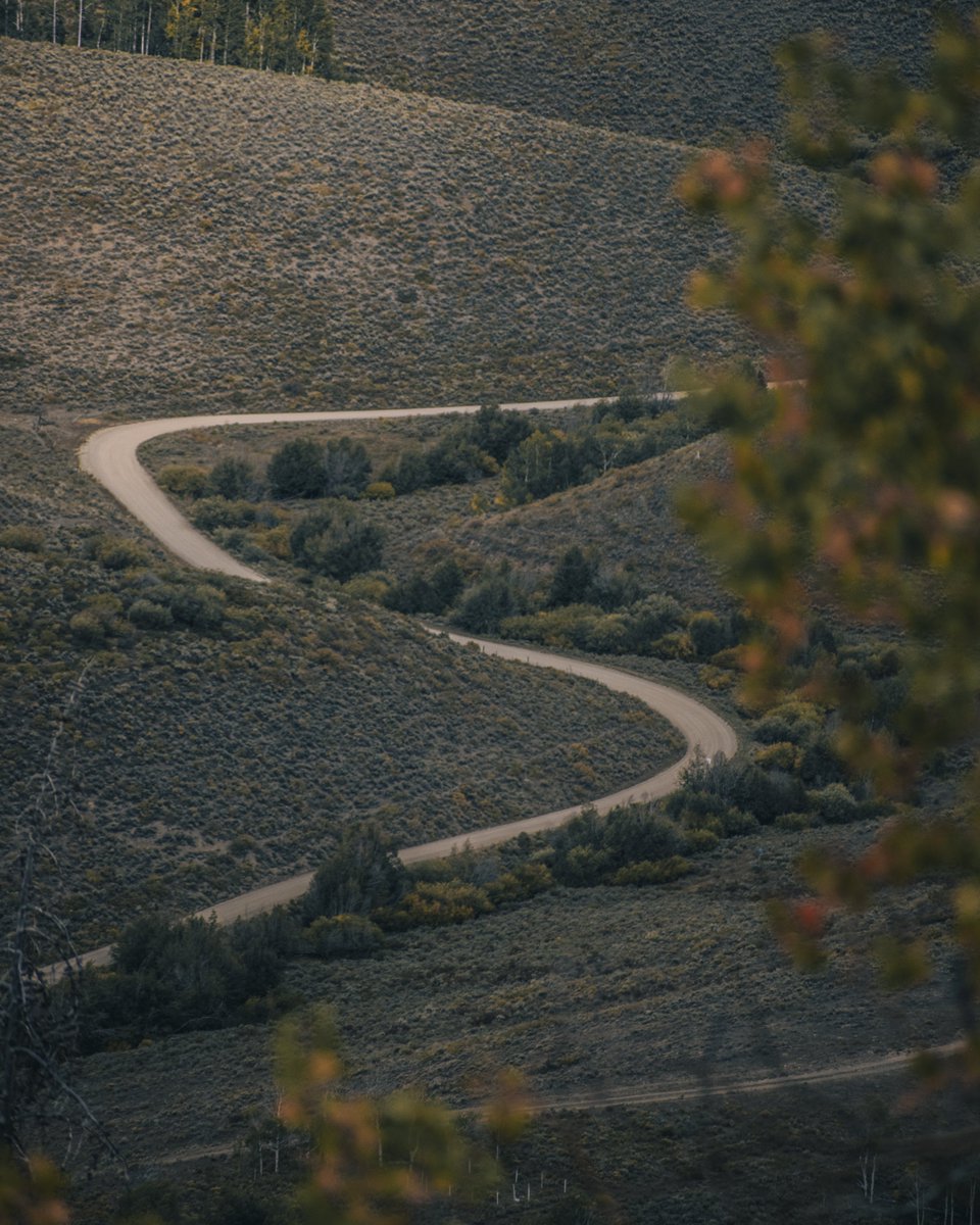 SamWardFreeski's tweet image. Some pics from a rad fall ride!