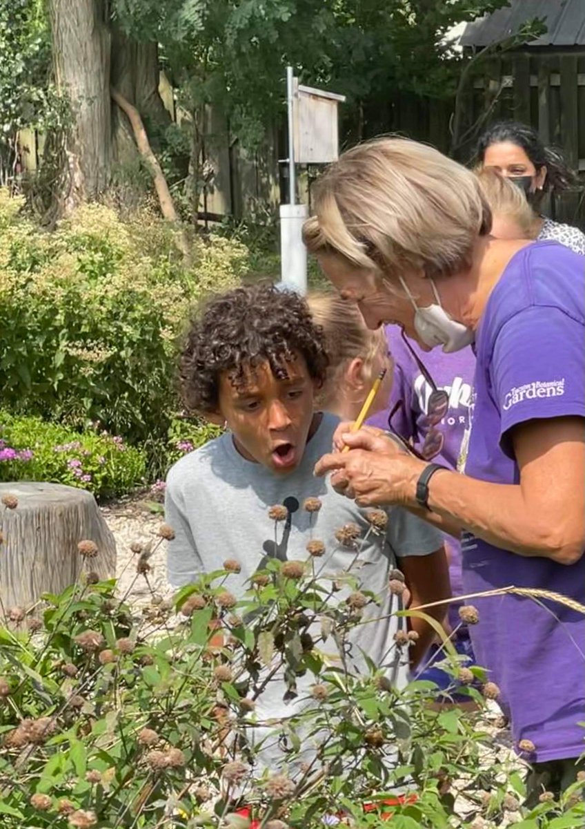 “If a child is to keep alive his inborn sense of wonder, he needs the companionship of at least one adult who can share it, rediscovering with him the joy, excitement, and mystery of the world we live in.”
- Rachel Carson

📷 Unrolling a monarch proboscis

#itsworthit