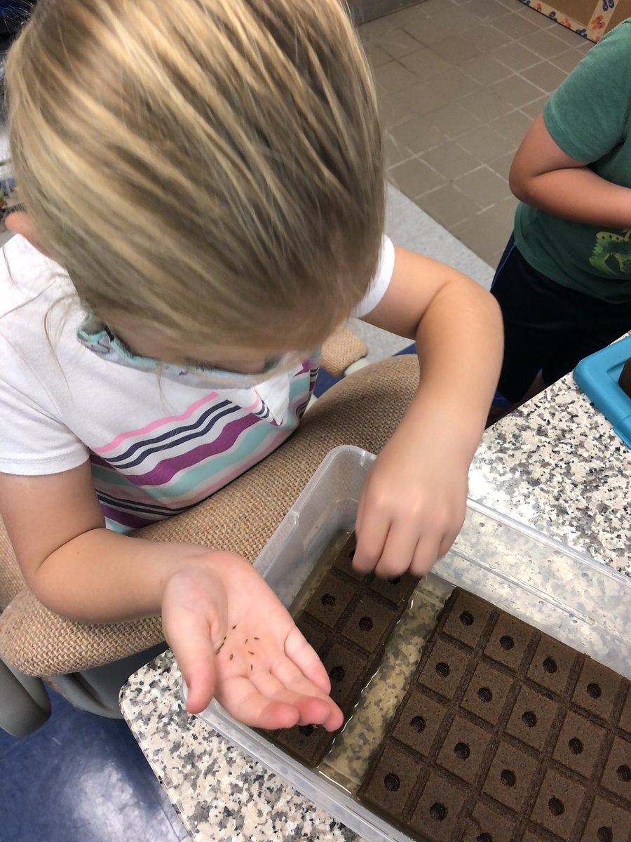 The <a href="/HESVerticalFarm/">Hopewell Elementary Vertical Farming Initiative</a> is off to a great start with the special helpers who planted our first seeds this morning!