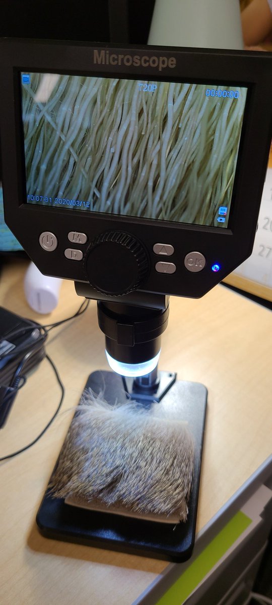 Cannot WAIT to introduce the kindergarteners to our new #digital microscope donated from our #AmazonWishlist by one of our generous 3V Families! 😍 #3VHeat #Kindergarten #STEMeducation