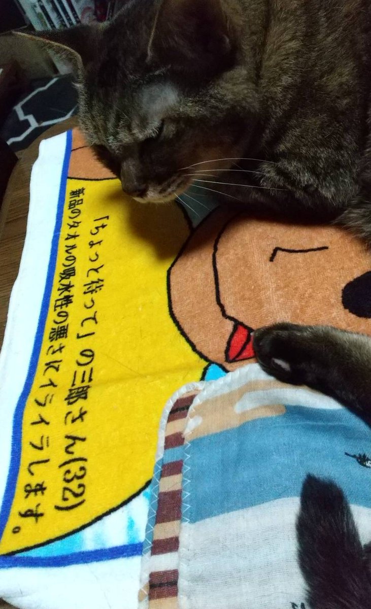 うちの猫もお気に入りの『ちょっと待っての三郎さん』タオル 