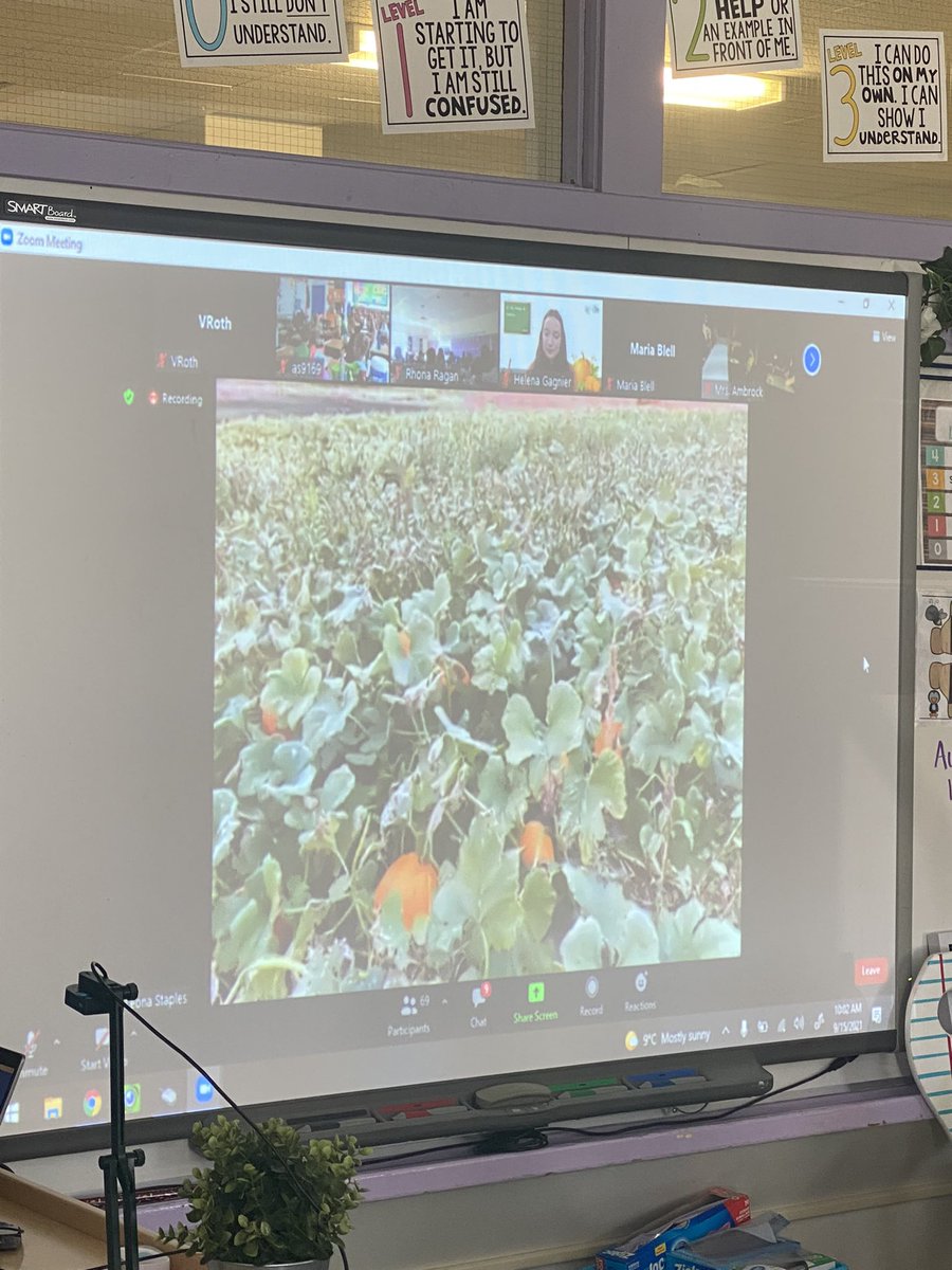 Round Hill School tweet media