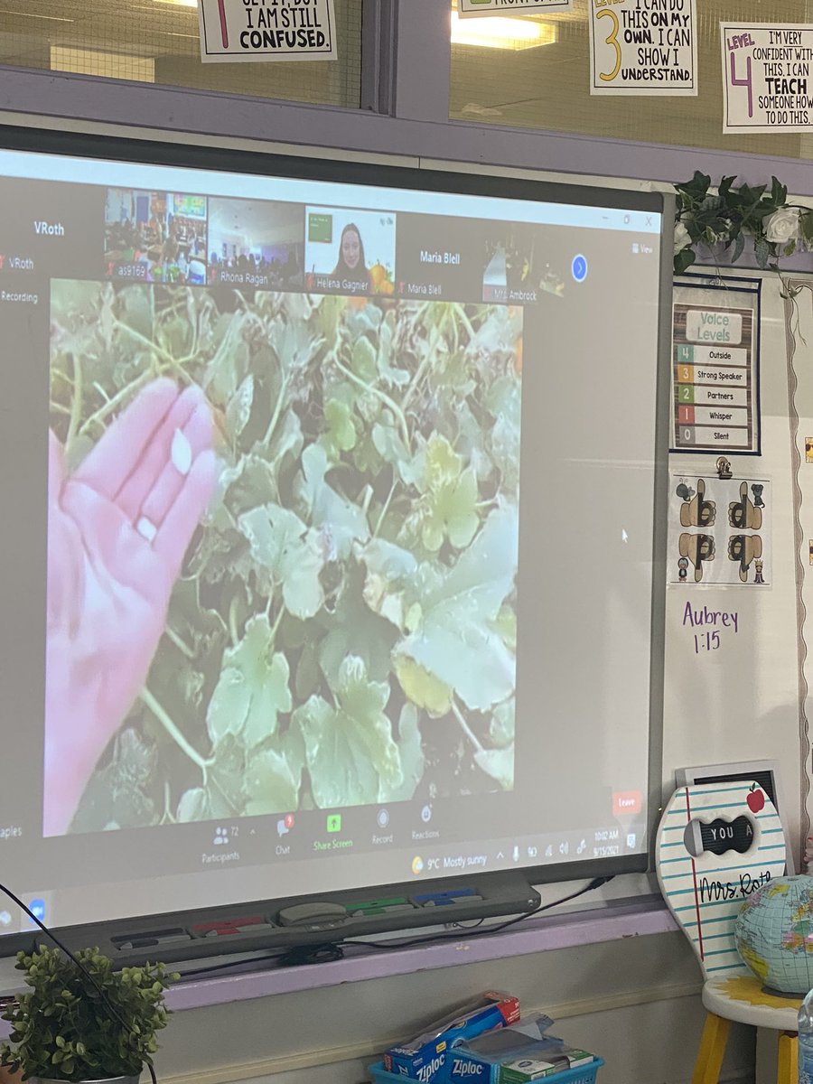 Round Hill School tweet media