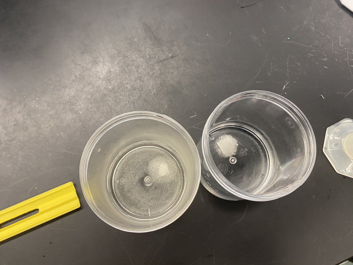 MrsDaugherty10's tweet photo. Lab day! Kids working on variables and the scientific method #ccms https://t.co/Vg5J4PRuk2