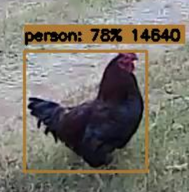 Dana Brunson tweet media