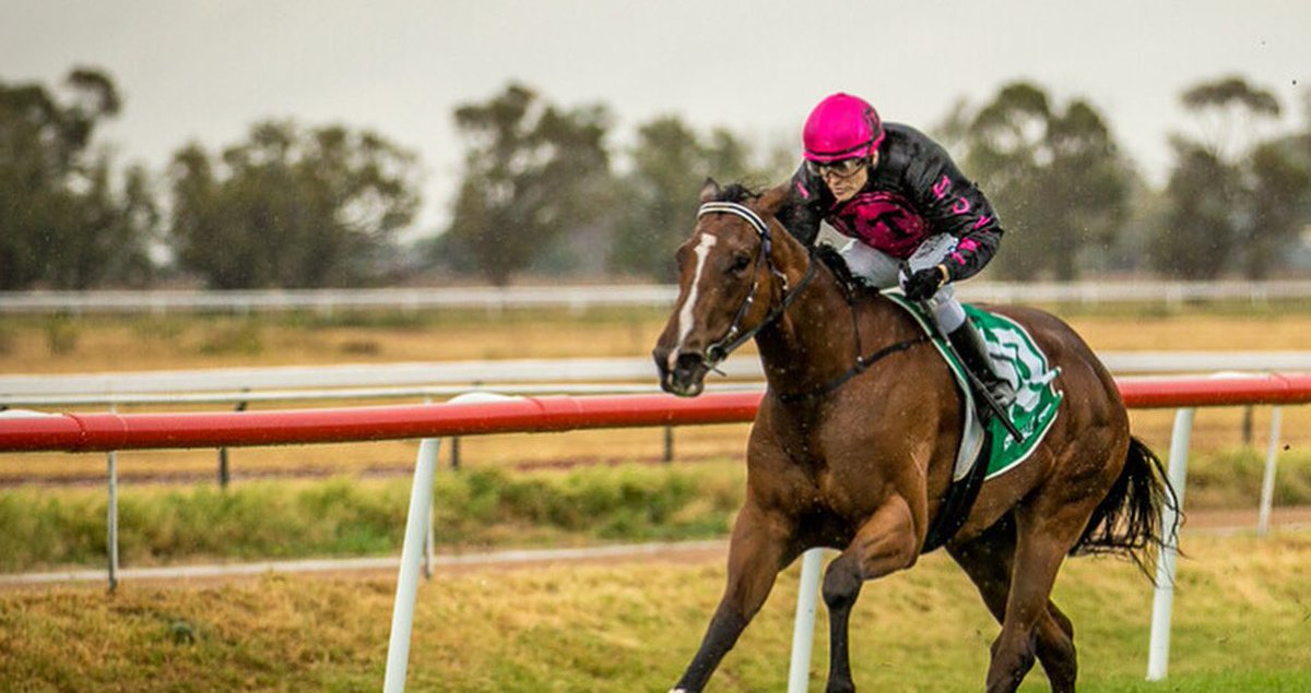 racewithimpact's tweet photo. Throwback Thursday ⚡️

Tidal Impact was dominant in the Wellington Boot Prelude at Coonamble 🌧 

She loves the cut out of the track and a good swim 🏊‍♂️ 

Hopefully more of these days coming up for the team in coming weeks! ✊

#impactthoroughbreds #racewithimpact https://t.co/njBn4JcI05