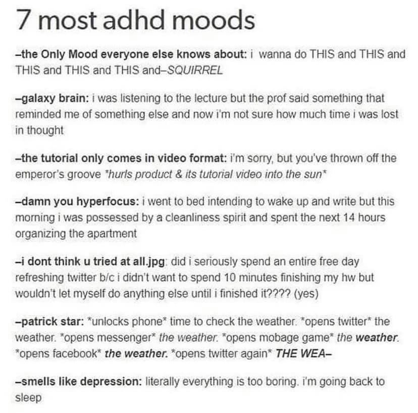 EvyStory's tweet photo. okay, but like, the level of accuracy here. oof. lol https://t.co/jTNtYIksKW